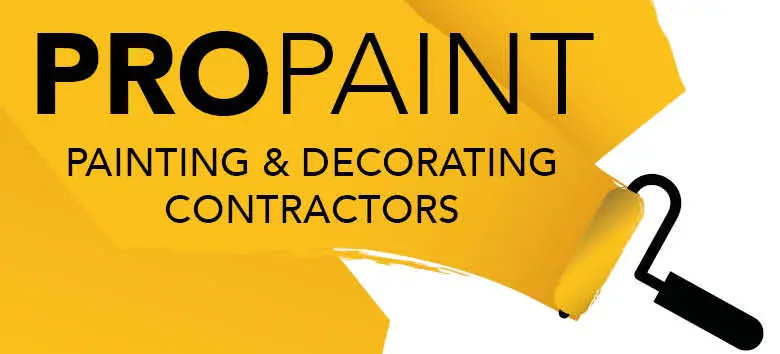 Pro Paint